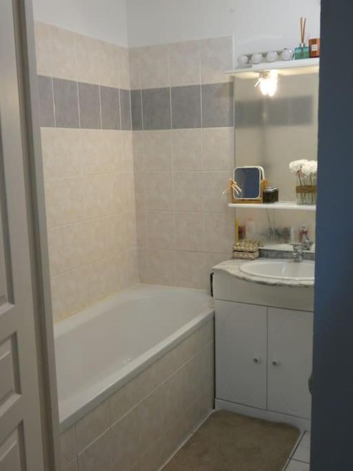Le Doubs Cosy Daire Besançon Dış mekan fotoğraf